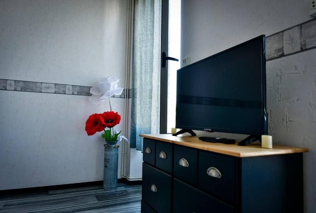 Grand Appartement De Haut Standing En Centre-Ville มงต์ลูซง ภายนอก รูปภาพ