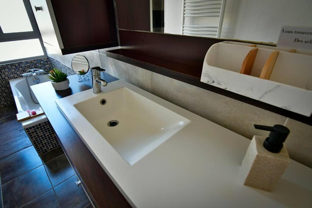 Grand Appartement De Haut Standing En Centre-Ville มงต์ลูซง ภายนอก รูปภาพ